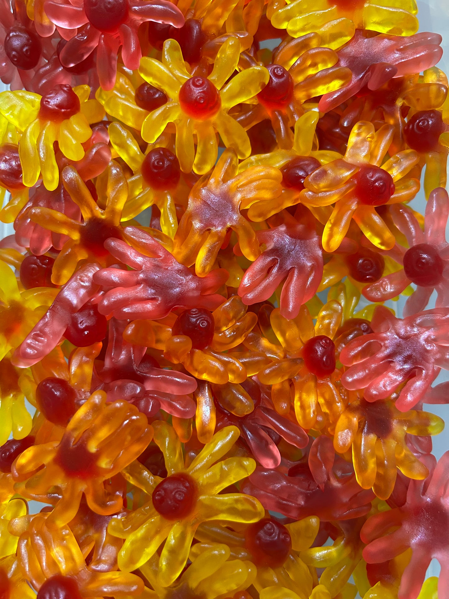 Octopus Épicé - 100g