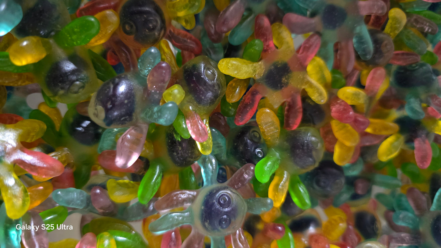 Octopus - 100g