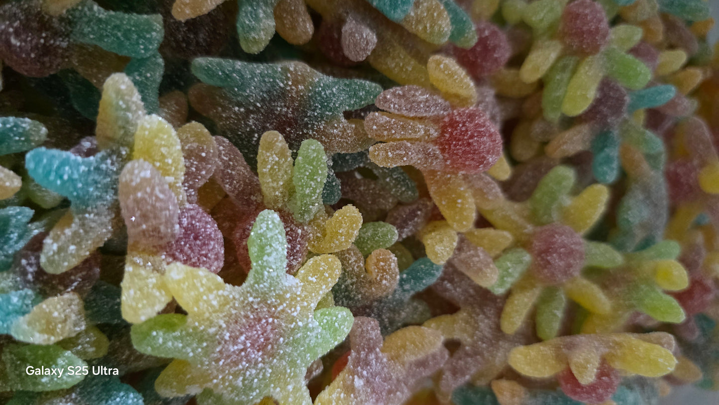 Octopus Acidulé - 100g