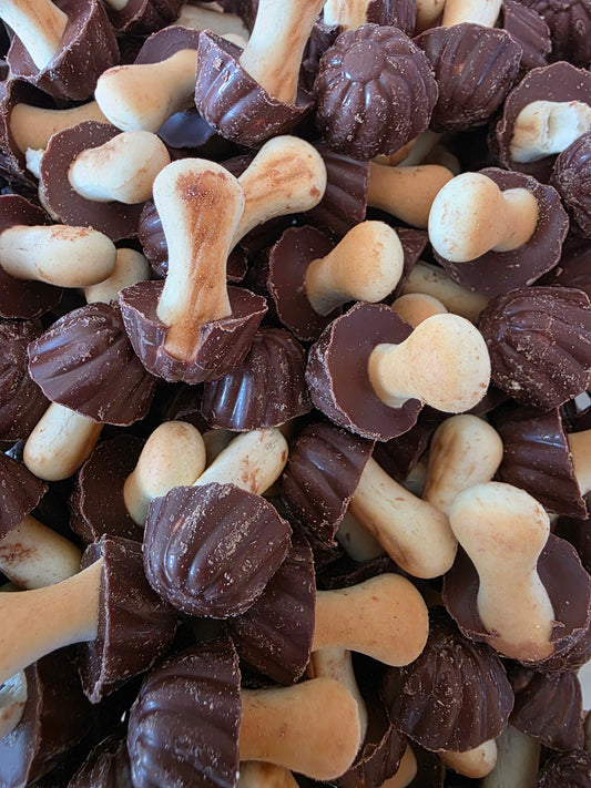 Champignons Biscuit au Chocolat - 100g
