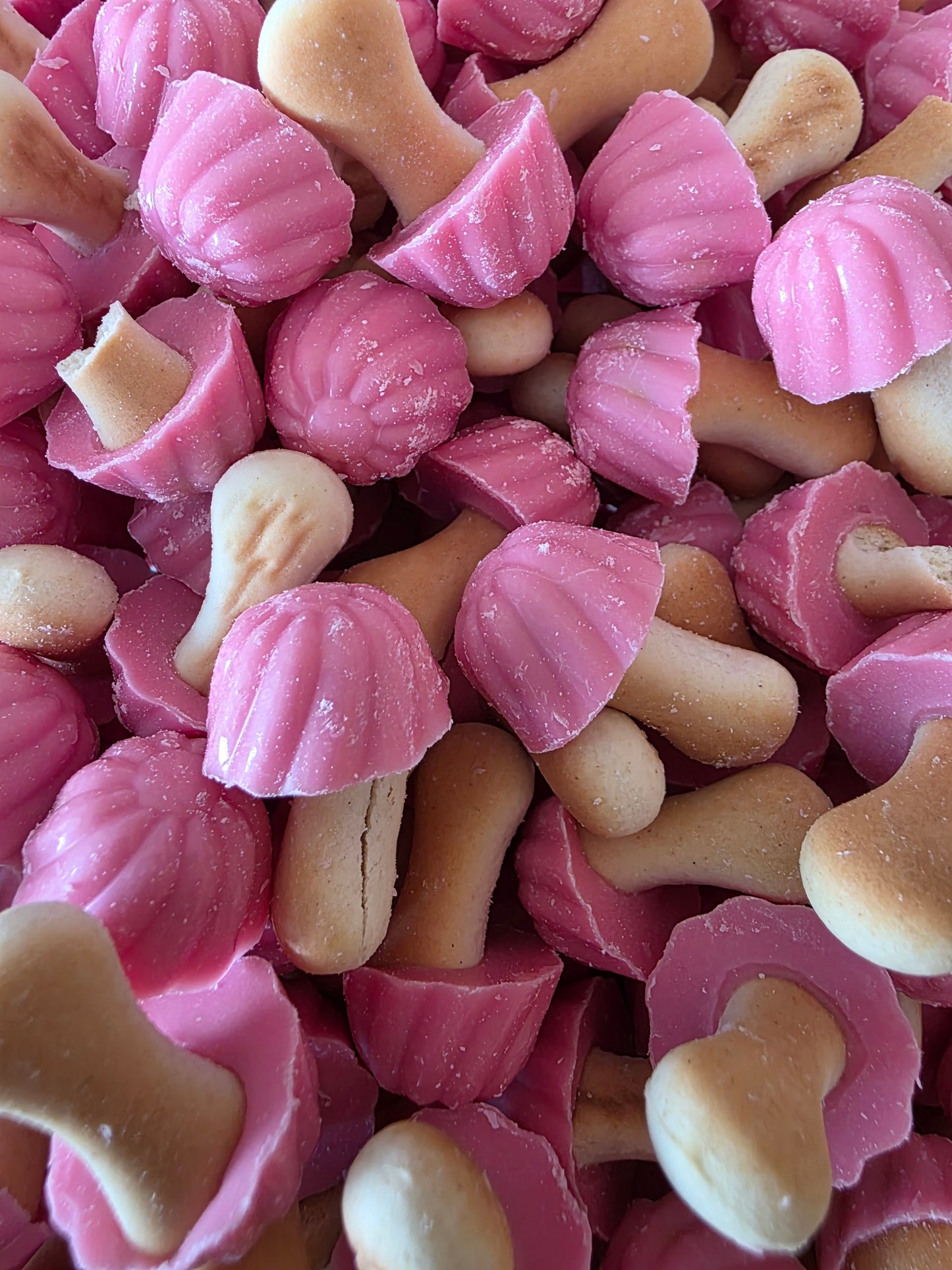 Champignons Biscuit à la Fraise - 100g